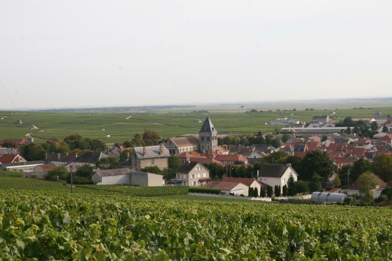 Demeure Saint Martin Bed & Breakfast Blancs-Coteaux Eksteriør bilde